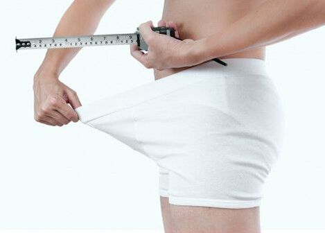 normal penis size